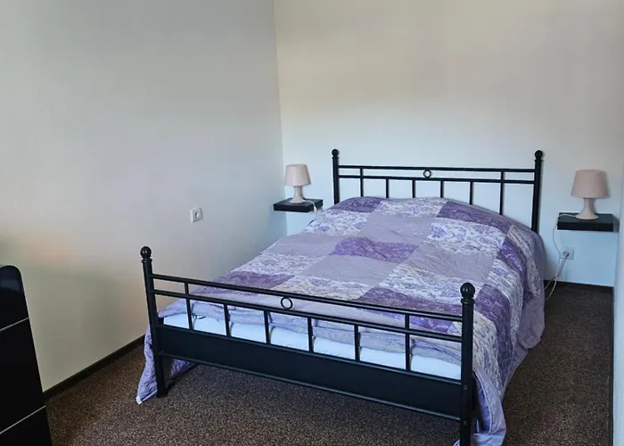 Zu Den Blauen Schafen